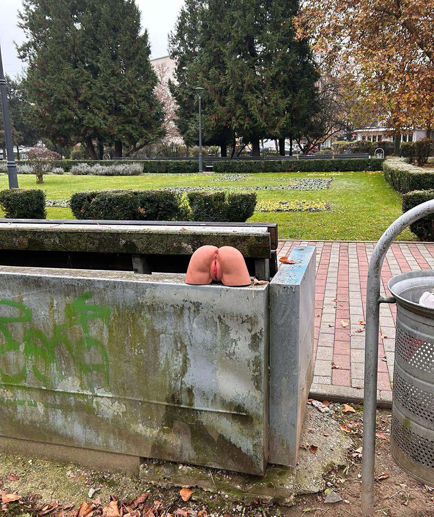 parcul dacia baia mare