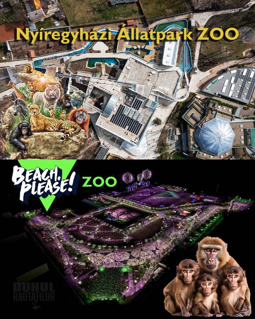 Românii, încântați că i-au întrecut pe unguri cu Beach Please ZOO