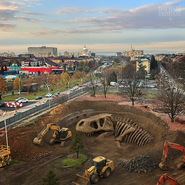 Osăminte de dinozaur T-Rex descoperite la Buclă în Baia Mare